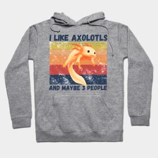 I Like Axolotls And Maybe 3 People Hoodie